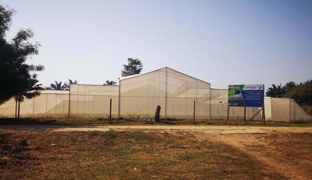 Agrosavia evaluará 8 especies de hortalizas en ambientes protegidos.