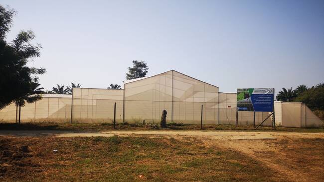 Agrosavia evaluará 8 especies de hortalizas en ambientes protegidos.