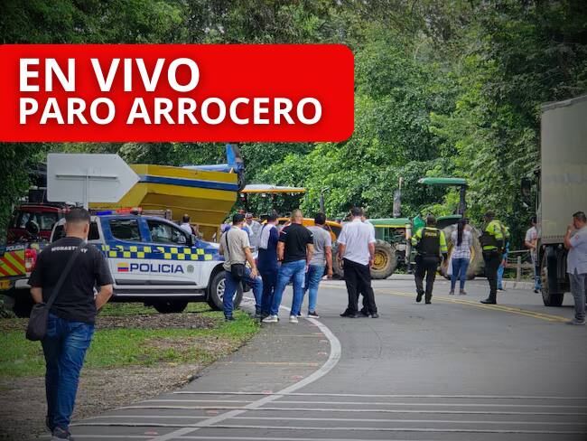 Los cultivadores de arroz en el Tolima // Foto: Archivo CR