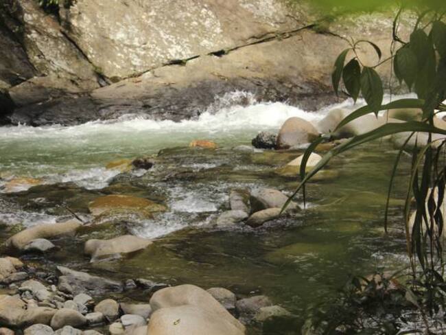 Prosigue búsqueda de británico desaparecido en río en Cocorná
