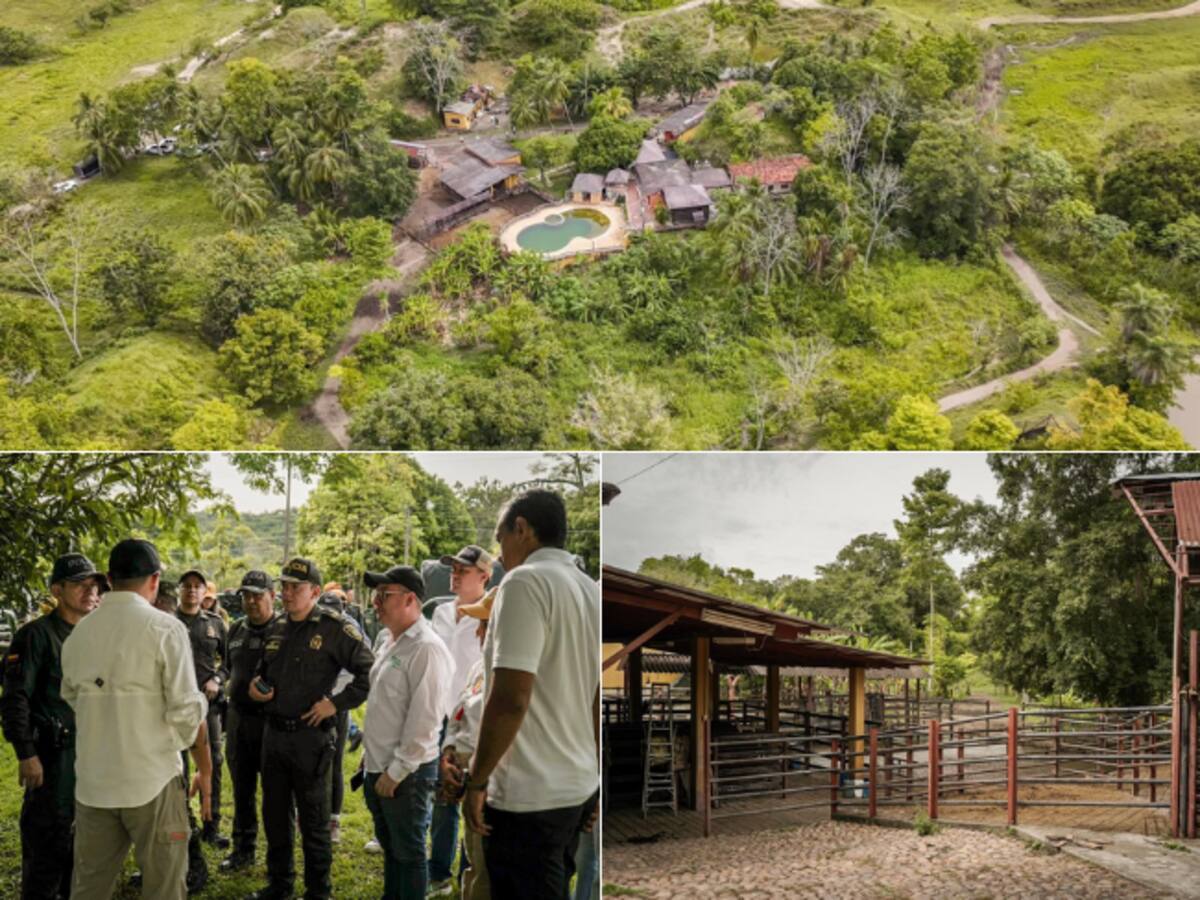 Finca entregada por exparamilitar vuelve al Estado