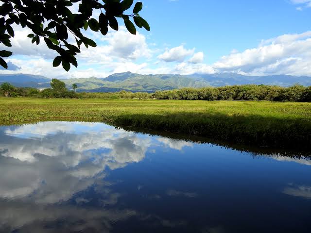 Jardín Botánico de Neiva, se anunció que el proceso contractual avanza conforme al cronograma. Foto Bertha Hernández O.
