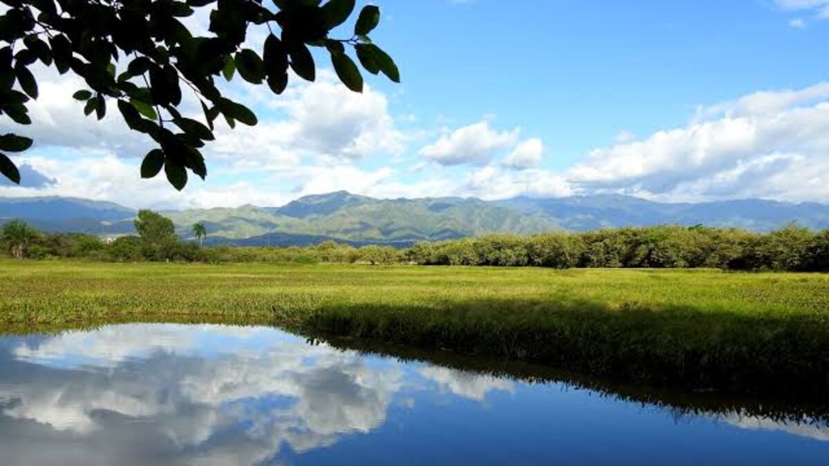 Balance positivo de metas, entrego la Secretaría de Desarrollo Agropecuario ante el Concejo de Neiva