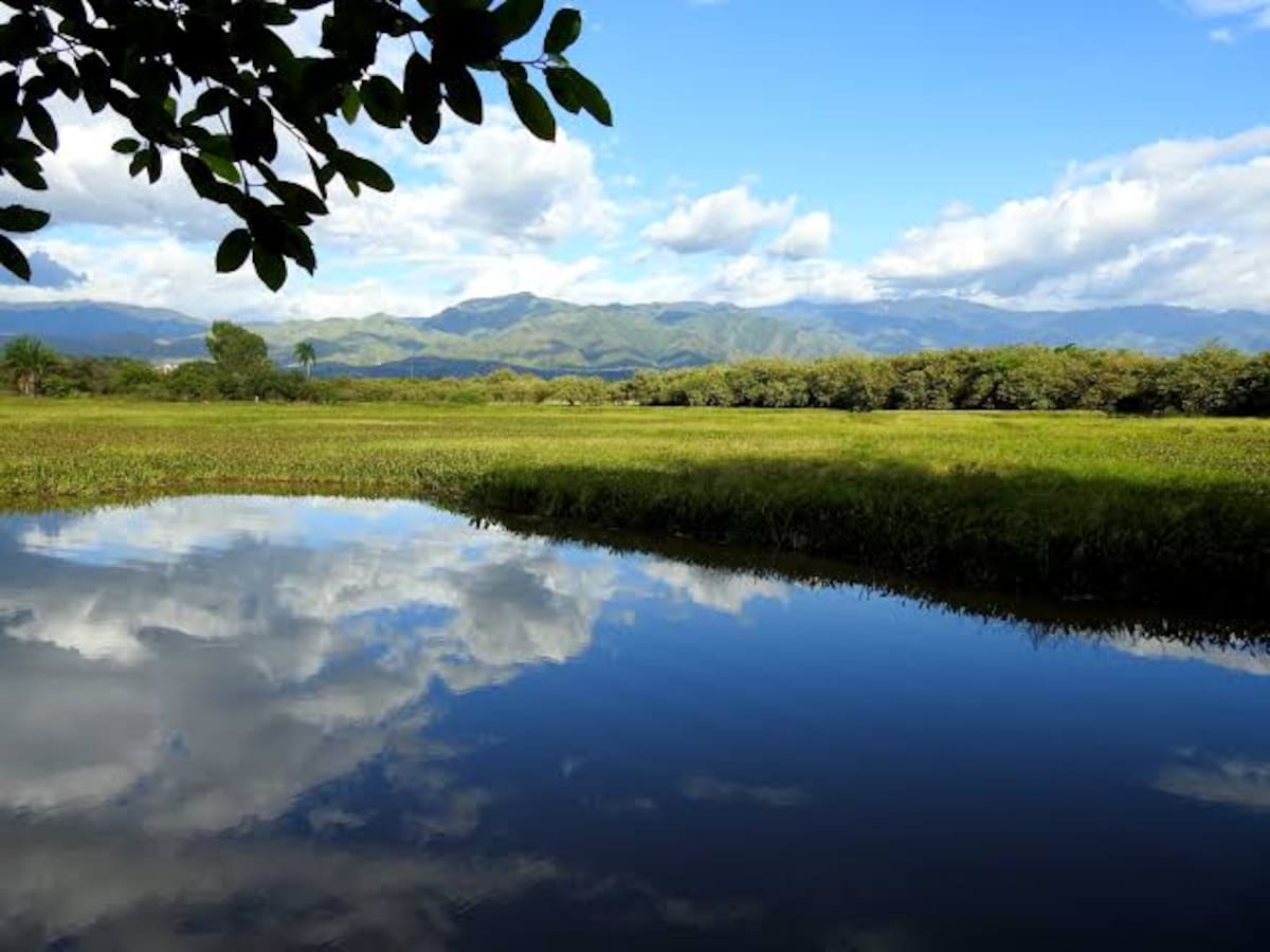 Balance positivo de metas, entrego la Secretaría de Desarrollo Agropecuario ante el Concejo de Neiva