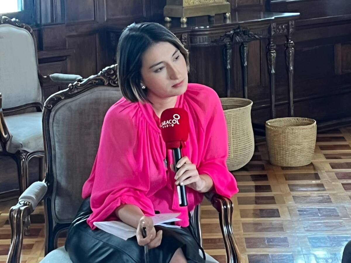 Colombia se está abriendo al mundo y eso significa tener conversaciones con todos: canciller Sarabia