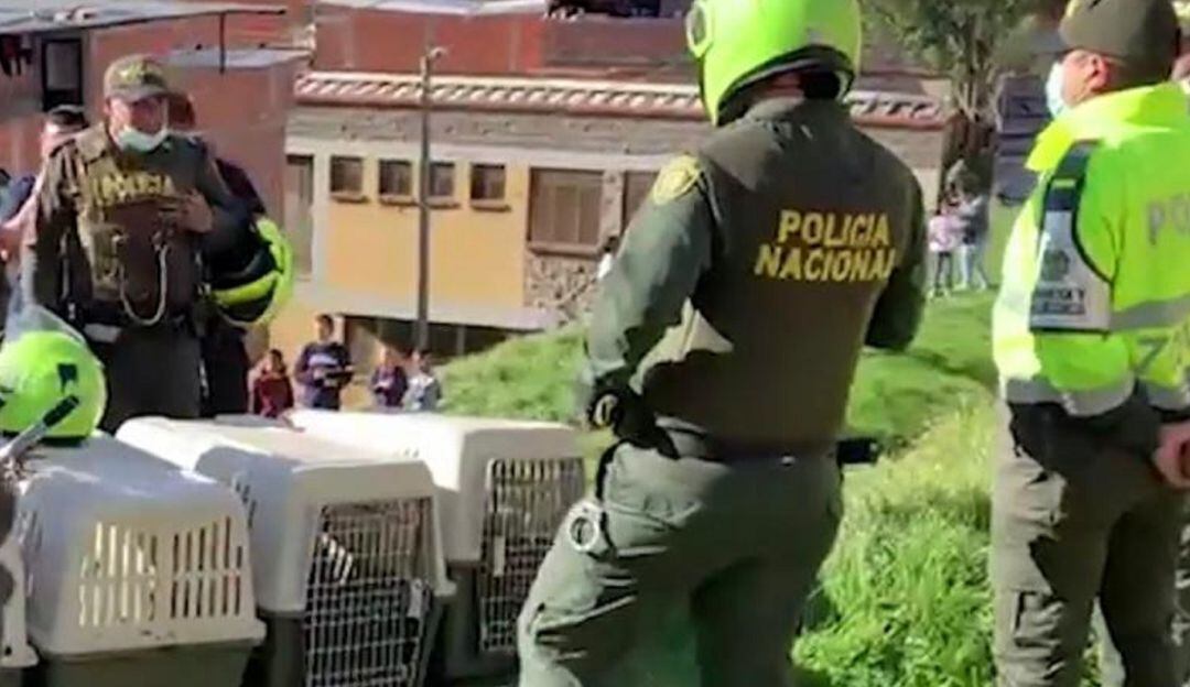 Policía Nacional en el lugar de los hechos.