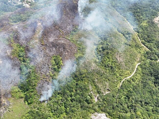 Decenas de hectáreas de vegetación arrasadas por las llamas