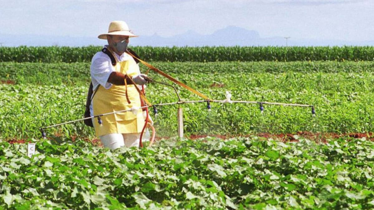 INFORME CANDIDATOS AGRO