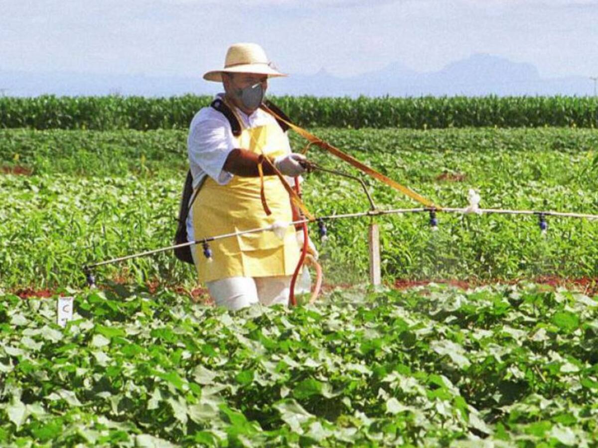 Candidatos en el Quindío hablan sobre las propuestas para el agro