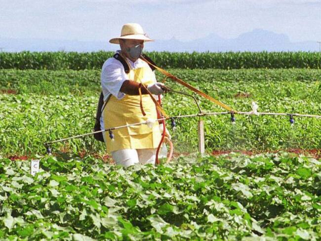INFORME CANDIDATOS AGRO