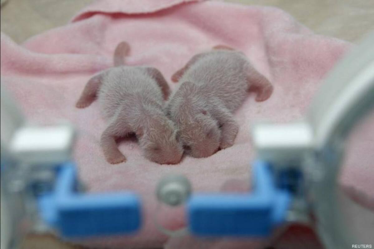 Foto:http://www.huffingtonpost.es/