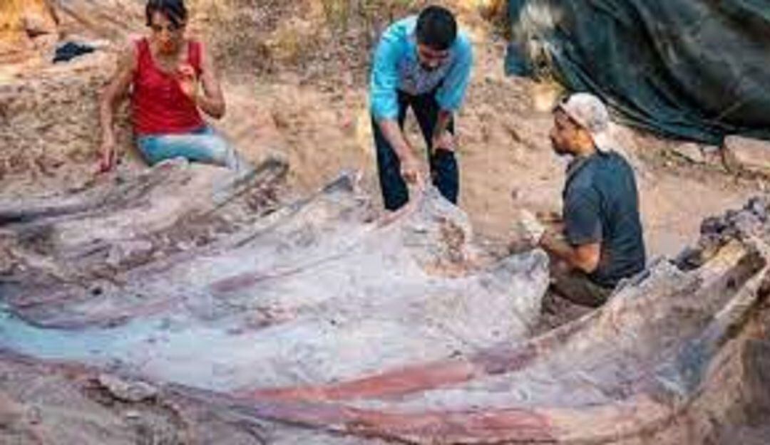 Encuentran en Portugal los restos del dinosaurio más grande de Europa