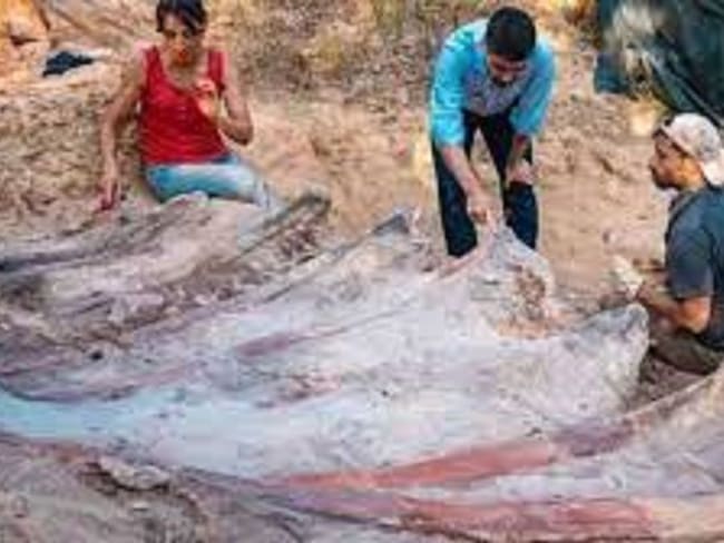 Encuentran en Portugal los restos del dinosaurio más grande de Europa
