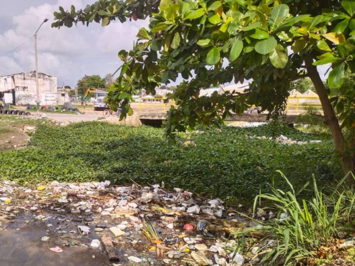 Canal Matute a punto de desbordarse por acumulación de basuras
