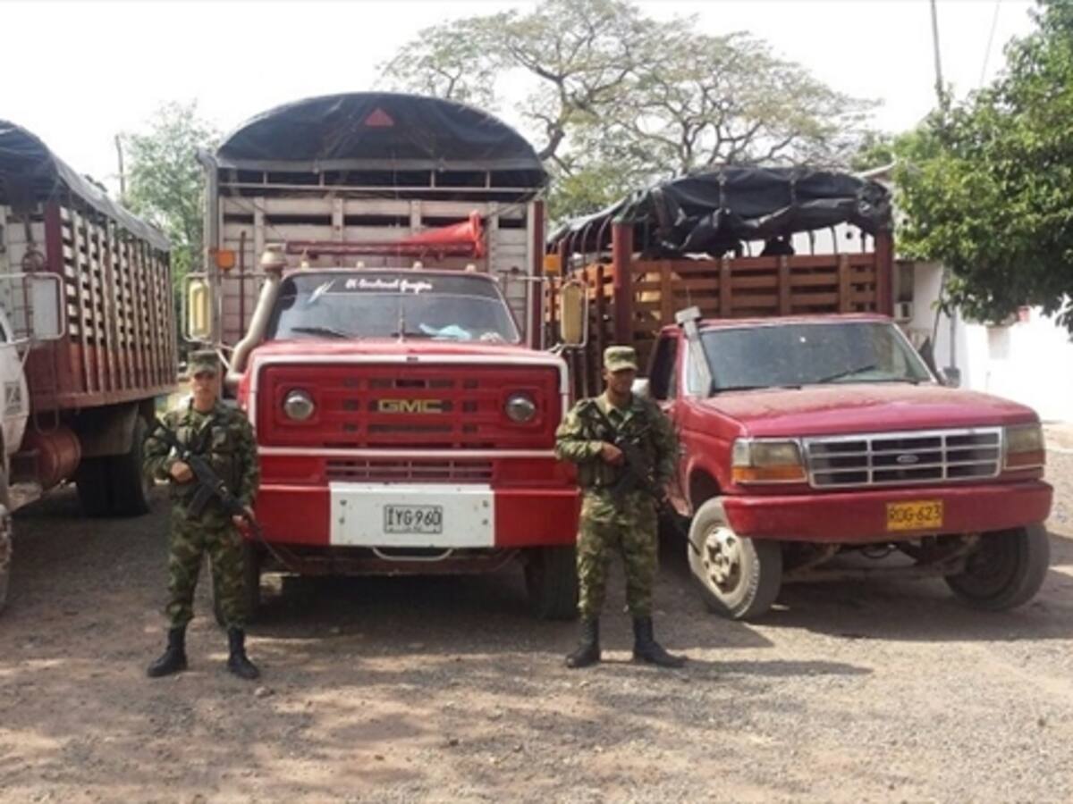 Ejército recupera ganado venezolano de contrabando en el Cesar