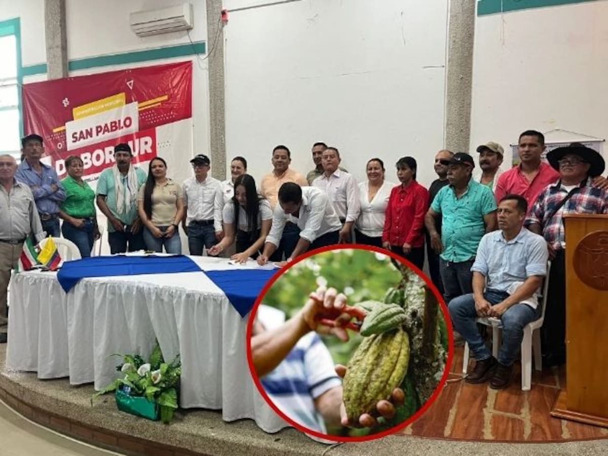 Con tecnología quieren evitar la deforestación en cultivos de cacao en Boyacá