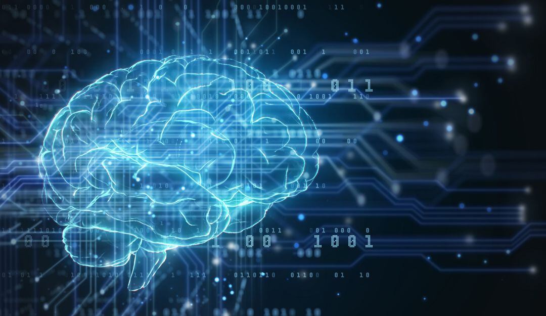 ¿Cómo puede el ejercicio físico impedir que el cerebro se encoja?