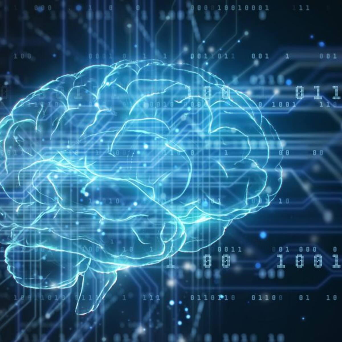 ¿Cómo puede el ejercicio físico impedir que el cerebro se encoja?