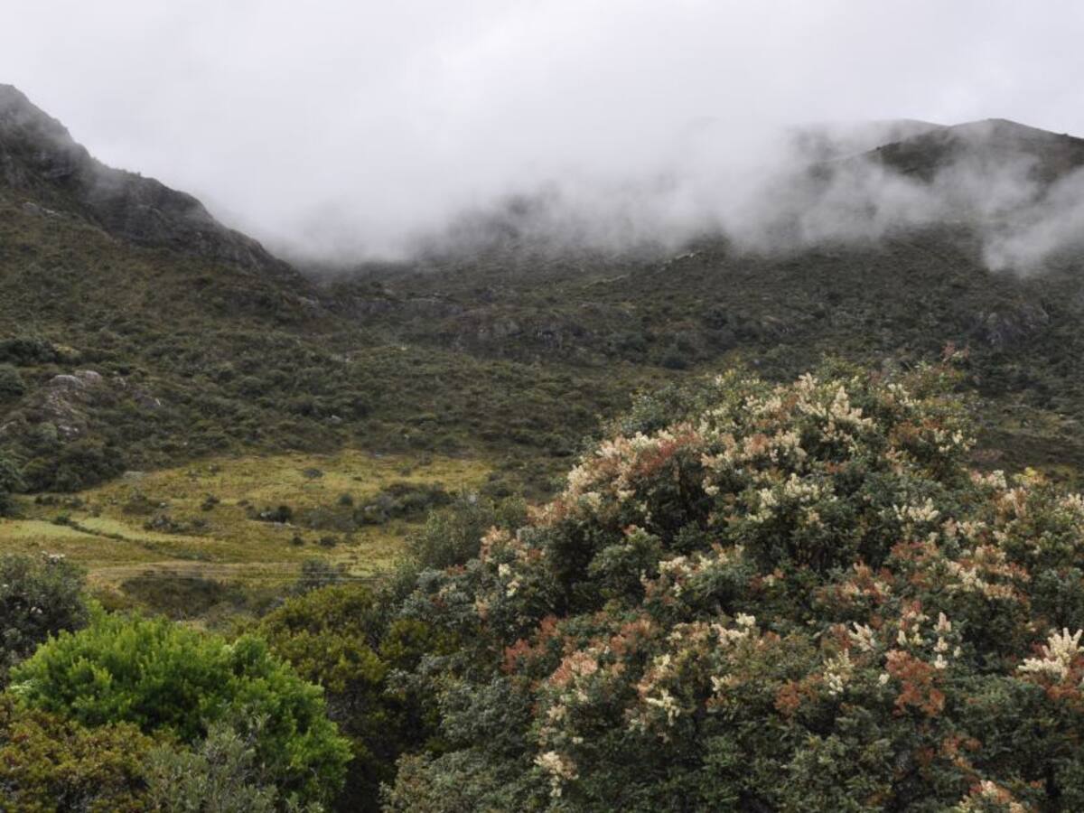 Pueblo de Vetas, Santander denuncian ante la CIDH delimitación de Santurbán