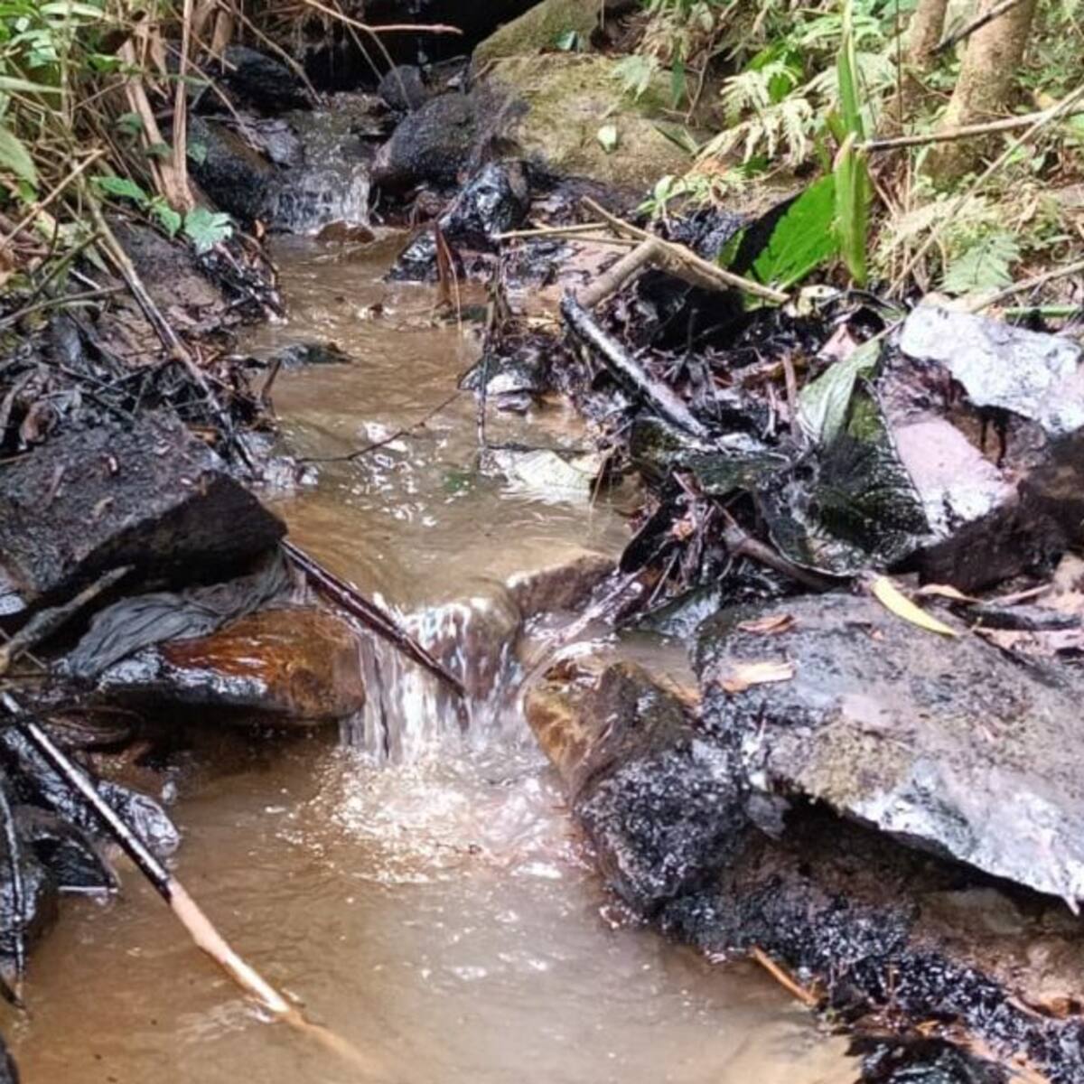 50 familias afectadas por restricción a minería artesanal en Calarcá