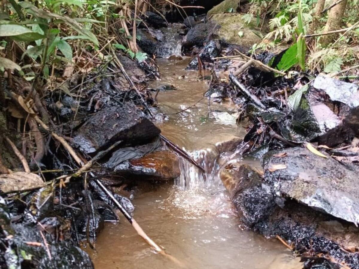 50 familias afectadas por restricción a minería artesanal en Calarcá