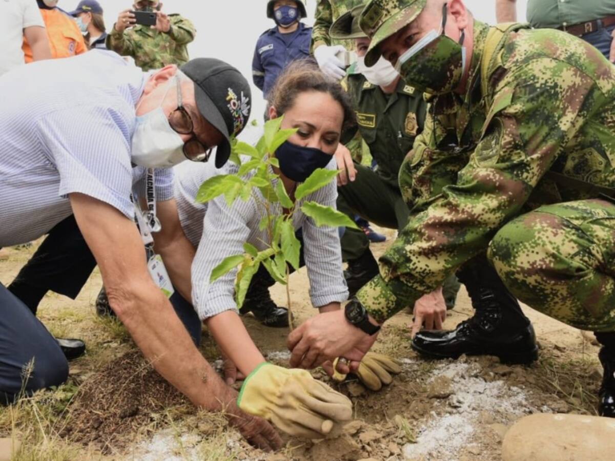 Cientos de árboles fueron sembrados en Cúcuta