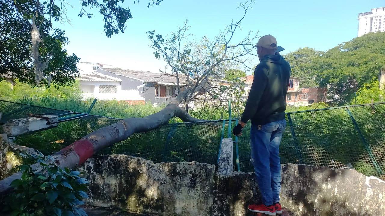 Alcaldía