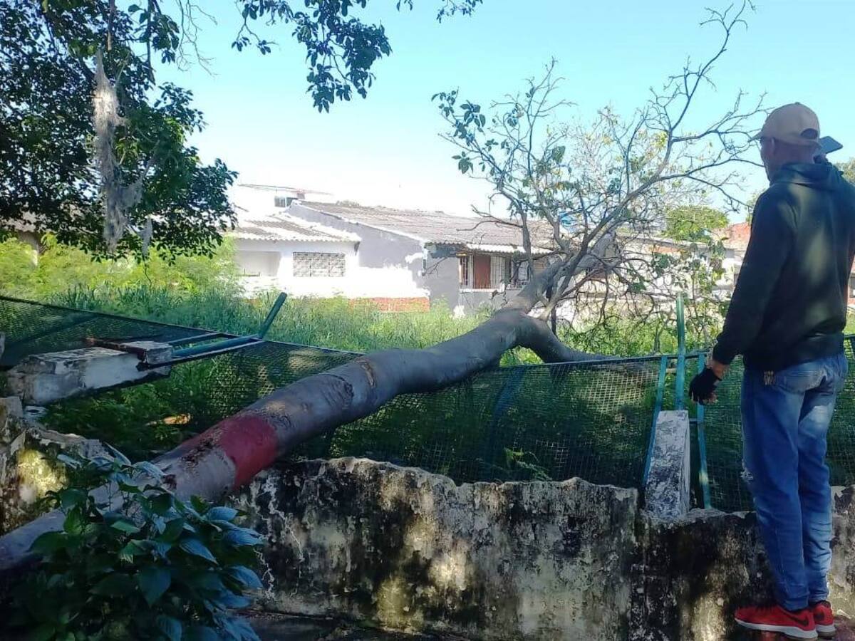 Equipo interdisciplinario de la Alcaldía continúa atendiendo a damnificados por lluvias
