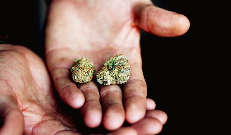 ¿Es el momento de legalizar la marihuana recreativa?. Foto: Getty Images / Sharon Mccutcheon