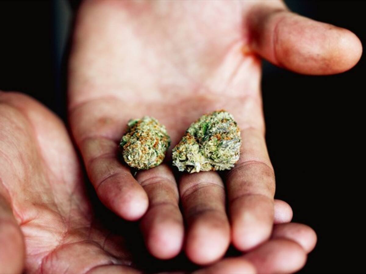 ¿Es el momento de legalizar la marihuana recreativa? #MarihuanaRecreativaEs