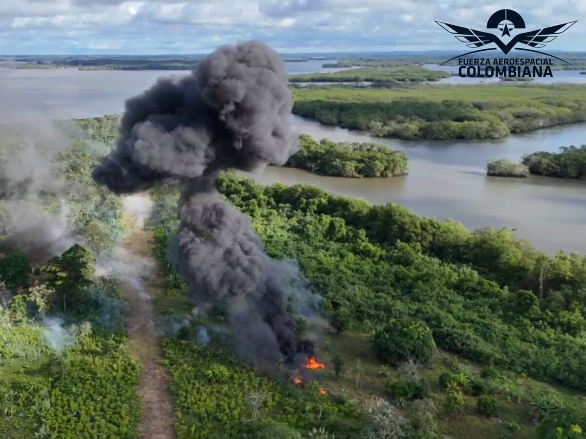 Desmantelan pista clandestina en Mosquera- Nariño desde donde enviaban droga a EE.UU