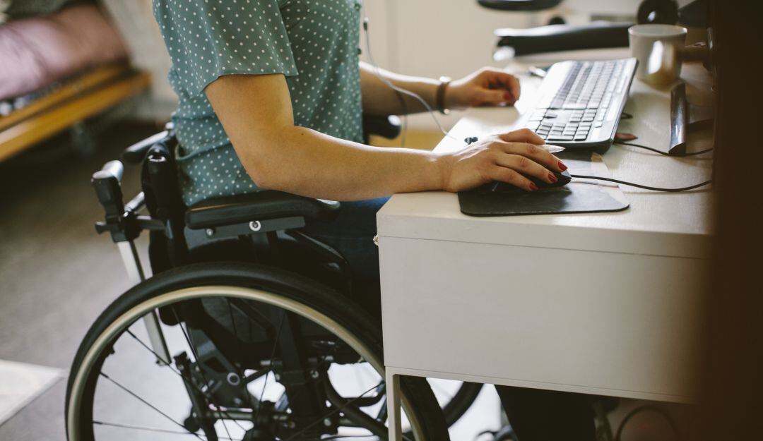 Imagen de referencia 