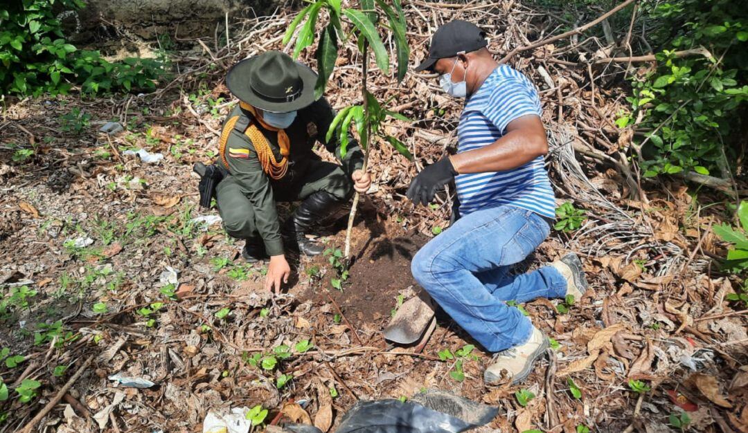 La institución en compañía de la Secretaría de Planeación de Arjona sembró más de 150 árboles en un colegio de la población
