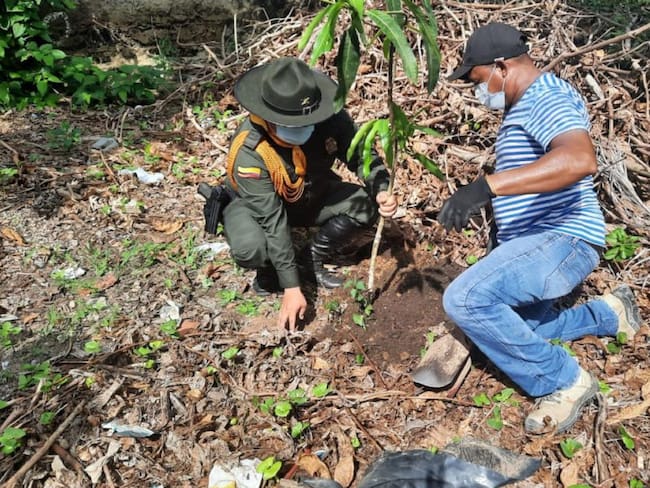 La institución en compañía de la Secretaría de Planeación de Arjona sembró más de 150 árboles en un colegio de la población