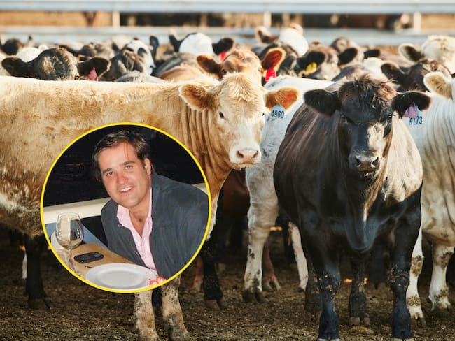 Pirámide ganadera: Fiscalía pedirá medida de aseguramiento contra Felipe Rocha