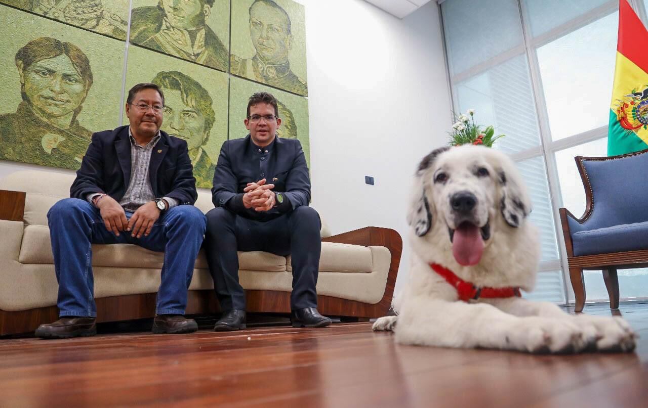 El presidente de Bolivia, Luis Arce, agradeció a su homólogo de Venezuela, Nicolás Maduro, por obsequiarle un perro de la raza mucuchíes, originaria del país caribeño, al que bautizó como Boyacá.