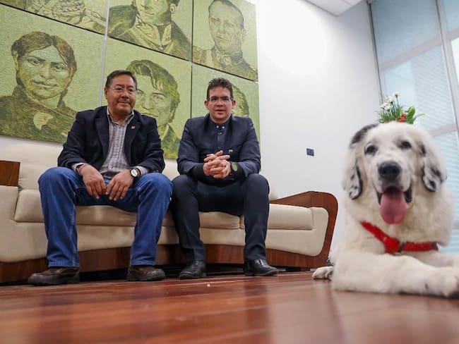 El presidente de Bolivia, Luis Arce, agradeció a su homólogo de Venezuela, Nicolás Maduro, por obsequiarle un perro de la raza mucuchíes, originaria del país caribeño, al que bautizó como Boyacá.