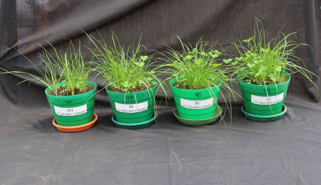 Procesos de investigación científica para el agro 