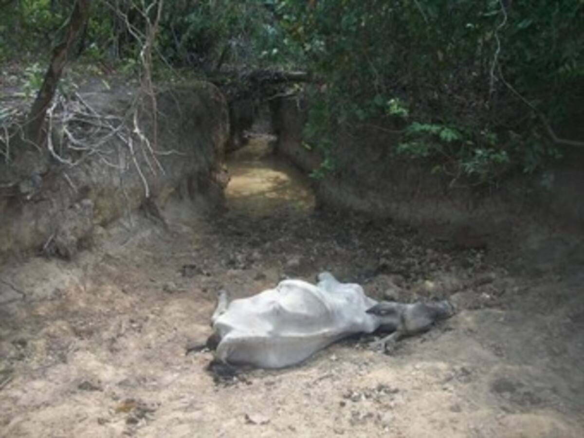 Gobierno no descarta responsabilidad de petroleras en sequía del Casanare