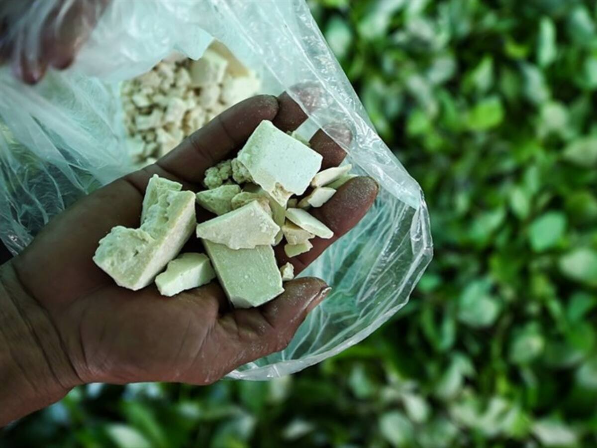 No compra de base de coca afecta algunos campesinos del Catatumbo