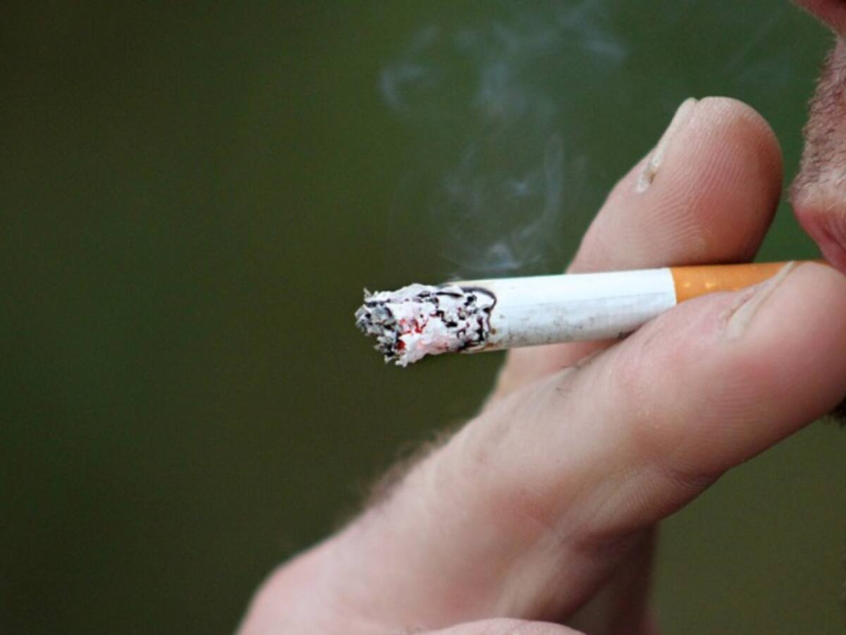 La transformación digital llega a industrias insospechadas