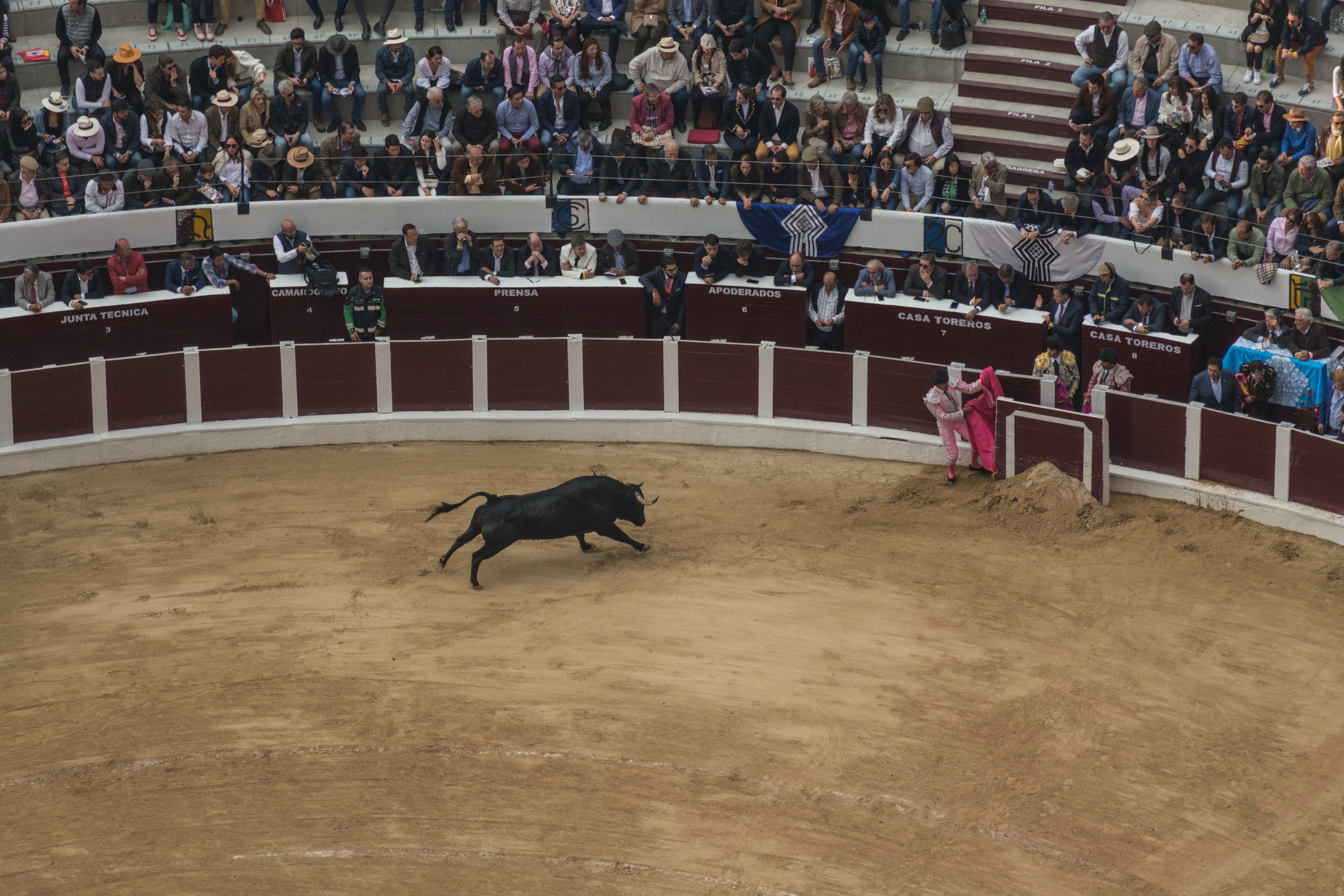 Plaza de Toros, foto de referencia vía  Vanessa Gonzalez/NurPhoto - Getty Images)