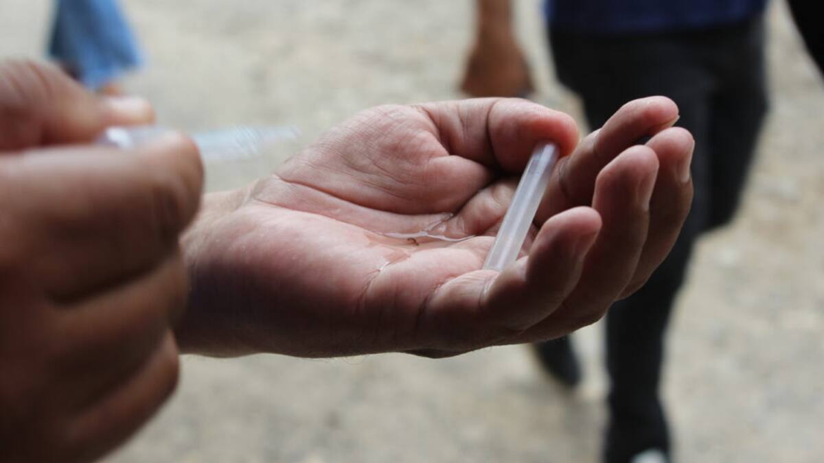 Semanalmente se reportan 49 casos de dengue en Bucaramanga