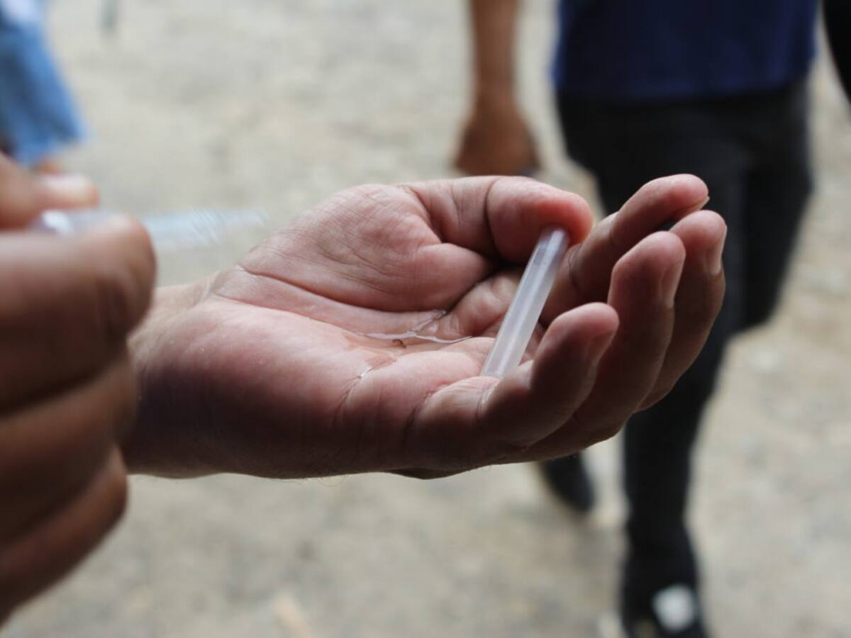 Dengue no da tregua en el Huila, casos en aumento