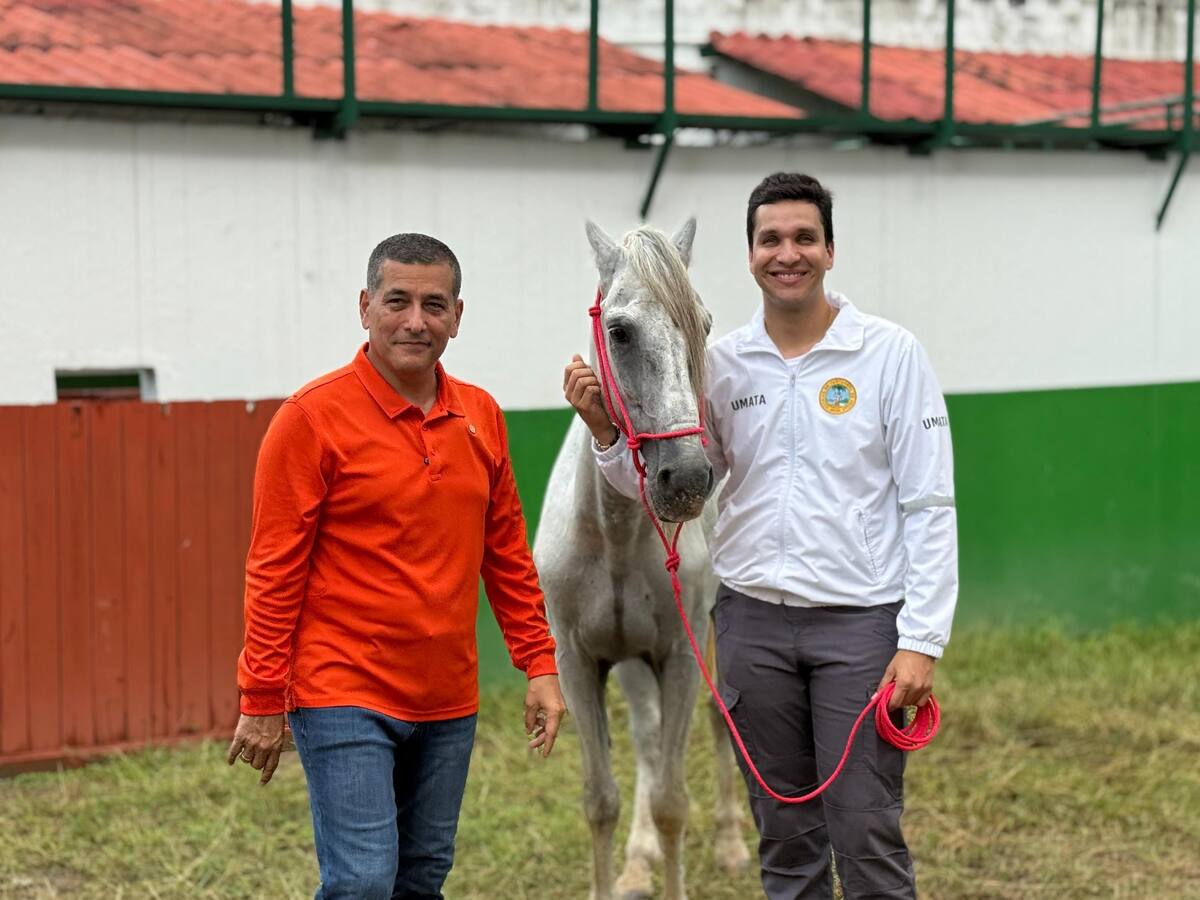 62 coches eléctricos rodarán antes del 7 de diciembre en Cartagena