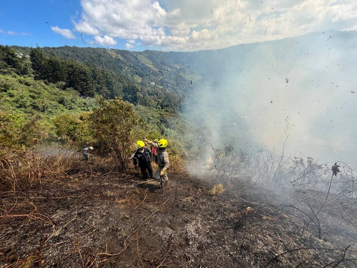 Bomberos tratan de controlar incendio forestal en Santa Elena, Medellín
