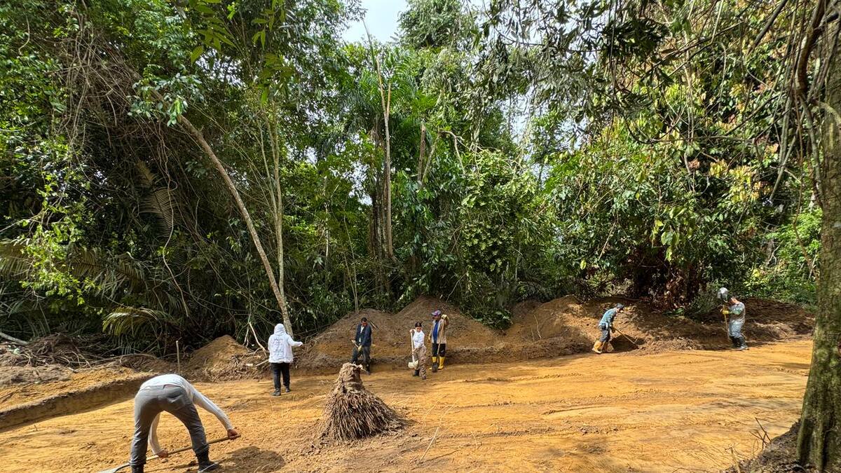 UBPD interviene predio en Sabana de Torres en búsqueda de 16 víctimas de masacre en Barrancabermeja
