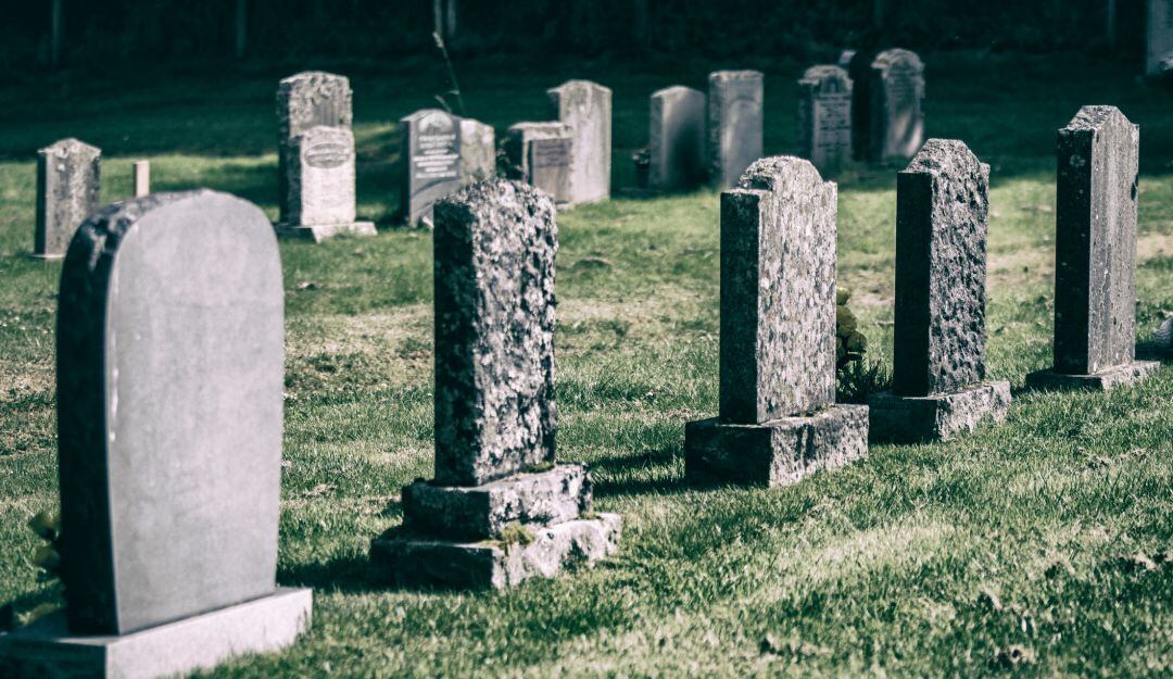 Imagen de referencia