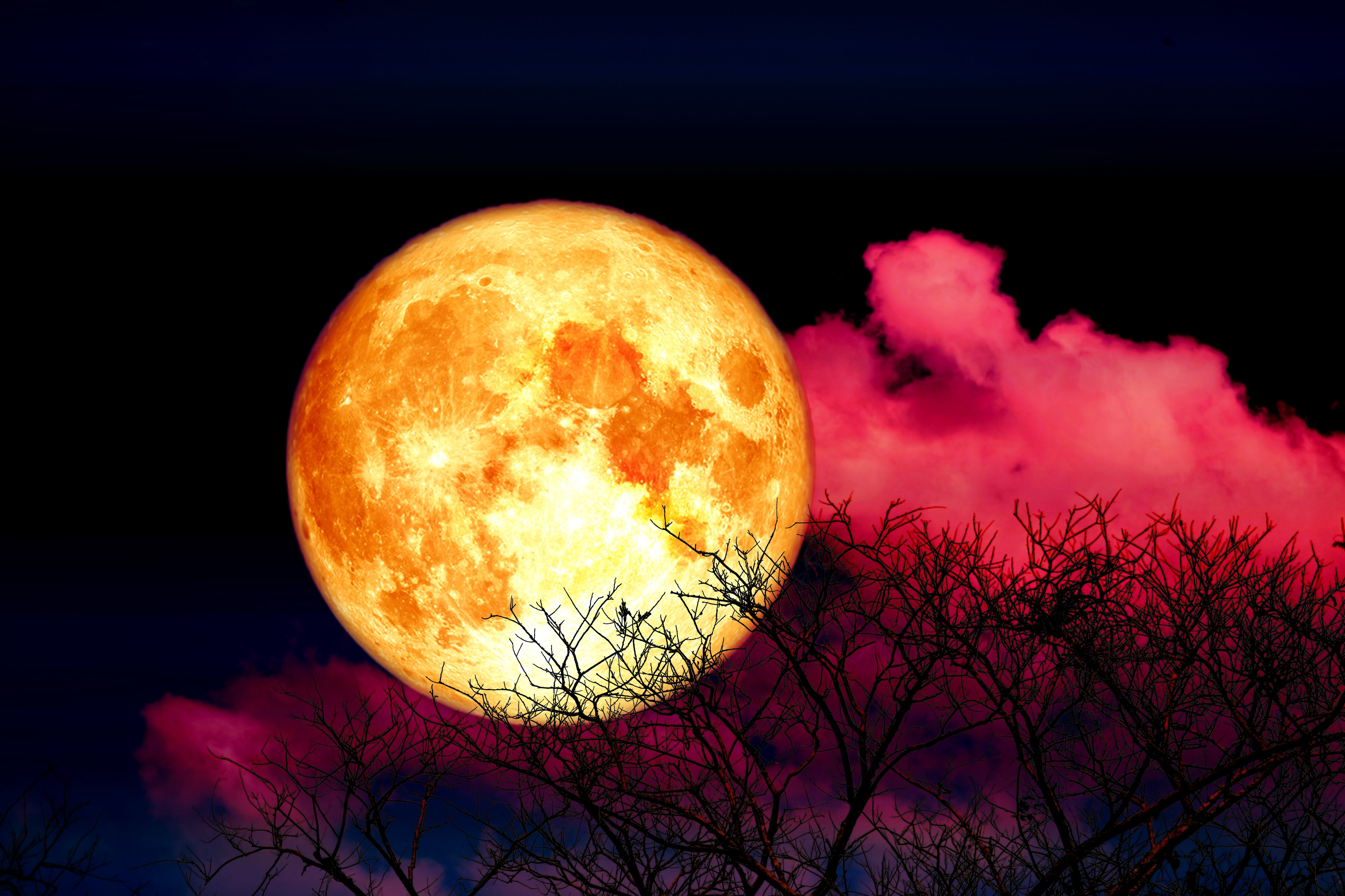 Luna llena de Flores, 23 de mayo 2024. Imagen de referencia vía Getty Images