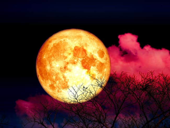Luna llena de Flores, 23 de mayo 2024. Imagen de referencia vía Getty Images